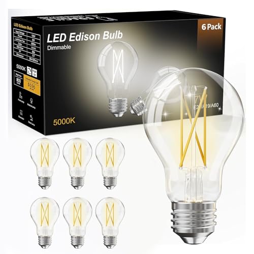 6 Pack A19 Vintage LED Edison Bulbs (6 Count)