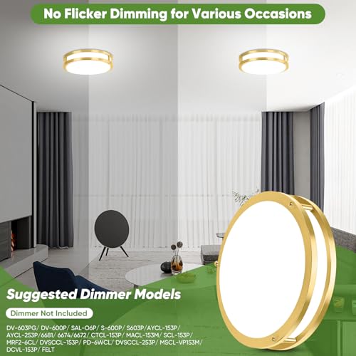 10 Inch LED Flush Mount Ceiling Lights (2 Count)
