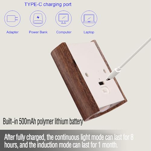 2 Pack Wood Step Light with Motion Sensor (2 Count)