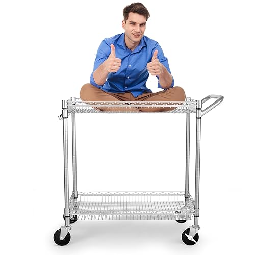Heavy Duty 2 Tier Rolling Cart