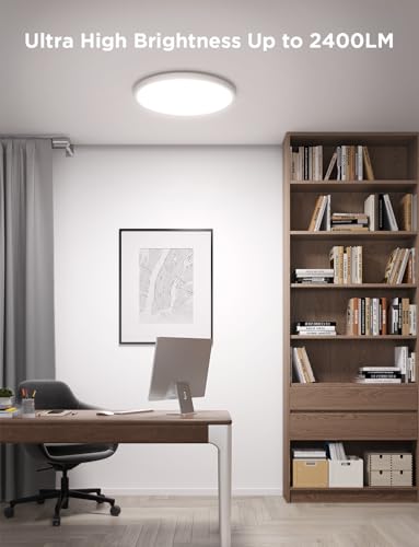 Smart Ceiling Light