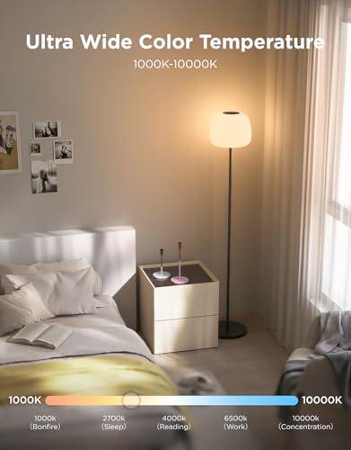 Lantern Floor Lamp