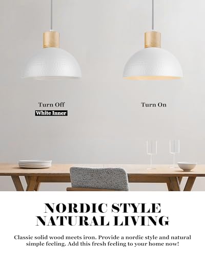 2 Pack Hammered Pendant Lights (2 Count)