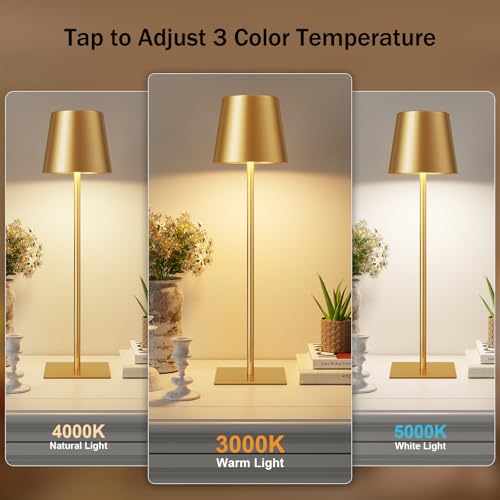 Gold Rechargeable Table Lamp (2 Count)