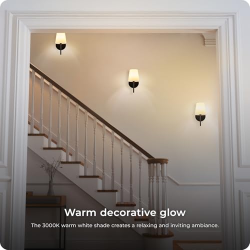 65000132 Rechargeable Battery Wall Sconce