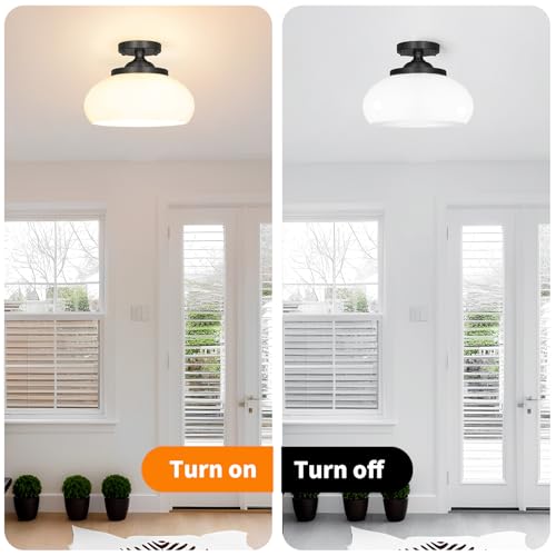 Black Semi Flush Mount Ceiling Light