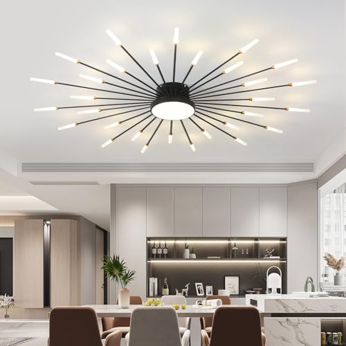 Modern Ceiling Light