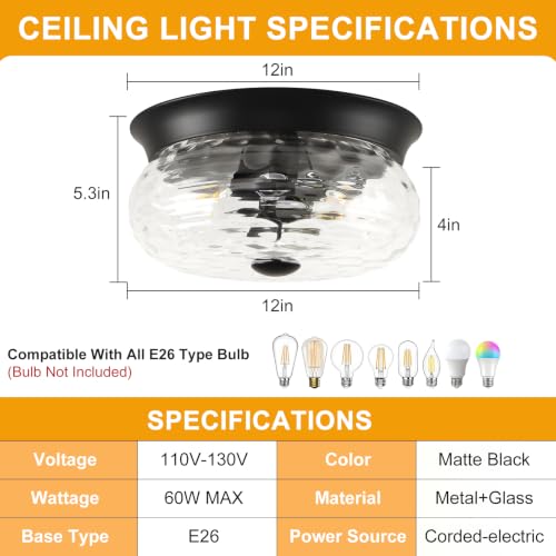 Black Flush Mount Ceiling Light Fixtures (Matte Black-Clear Hammered Glass(No Assembly Required))