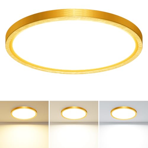 LED Flush Mount Ceiling Light Fixture