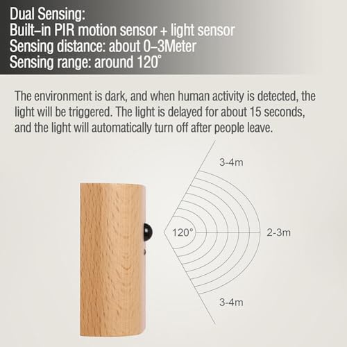 2 Pack Wood Step Light with Motion Sensor (2 Count)