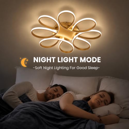 29.53 inch Modern LED Ceiling Light