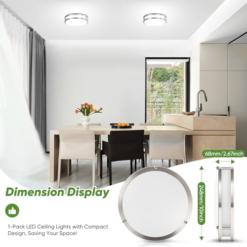 10 Inch LED Flush Mount Ceiling Light