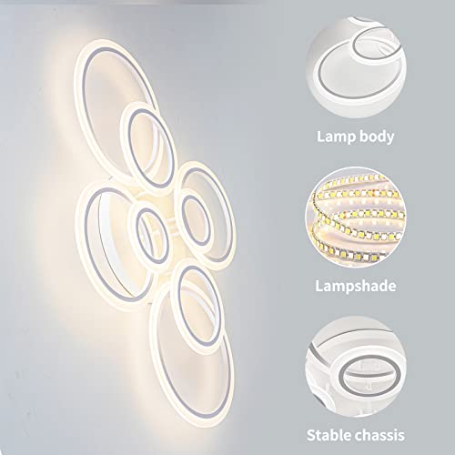 Modern LED Ceiling Light