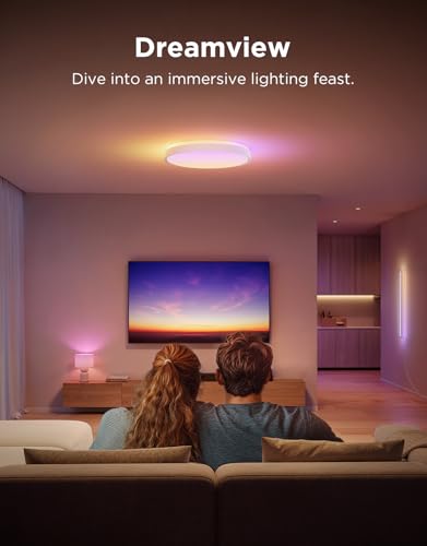 Smart Ceiling Light 4300LM 15 Inch