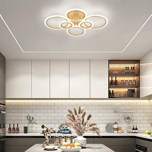Modern LED Ceiling Light