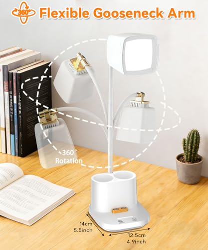 LED Desk Lamps for Home Office with Charger