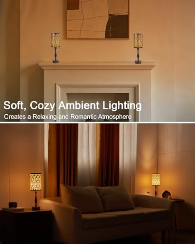 Cordless Table Lamp Rechargeable Battery Operated