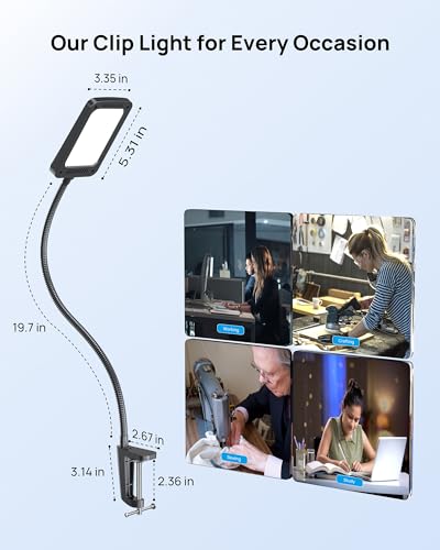 LED Desk Lamp with Clamp