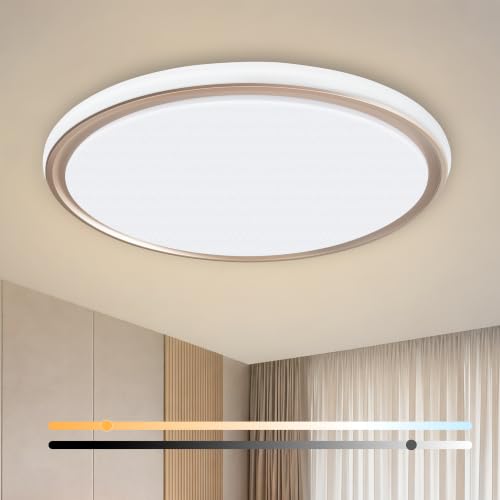 15 Inch LED Flush Mount Ceiling Light (Gold)