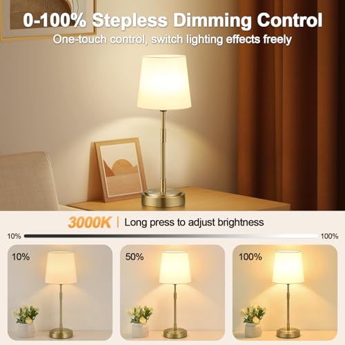 Cordless Table Lamps Set of 2