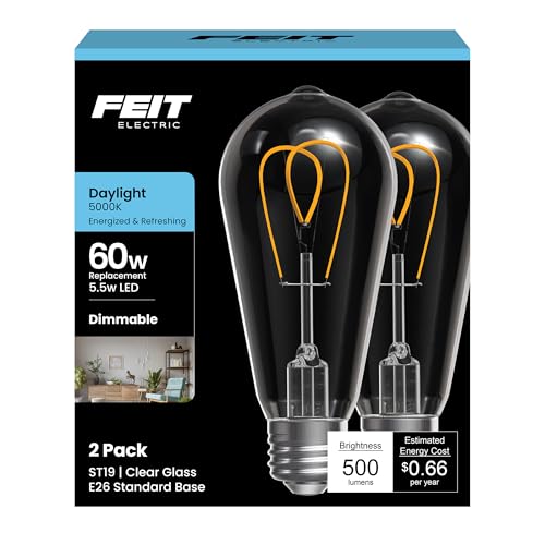 ST19 LED Vintage Light Bulb (2 Count)