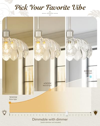 Classic Brushed Nickel Flower Glass Pendant Light