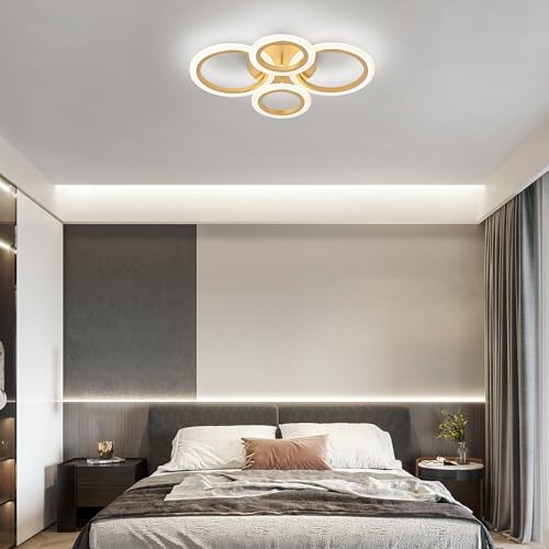 Modern LED Ceiling Light