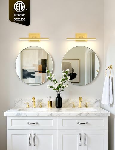 Bathroom Vanity Light 15.7 inch