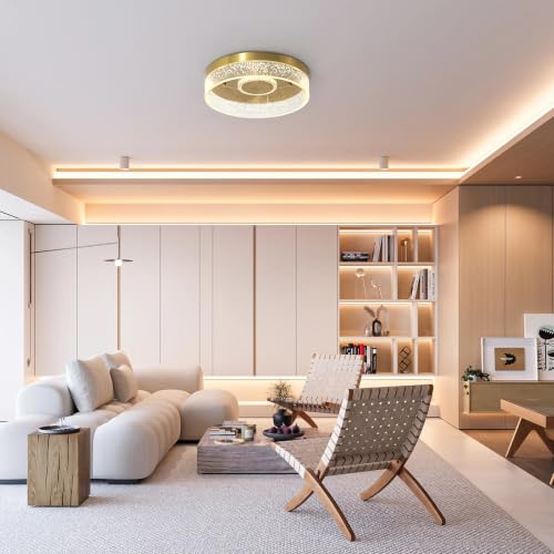 Modern LED Gold Flush Mount Ceiling Light