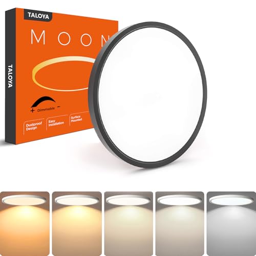Dimmable Flush Mount Ceiling Light
