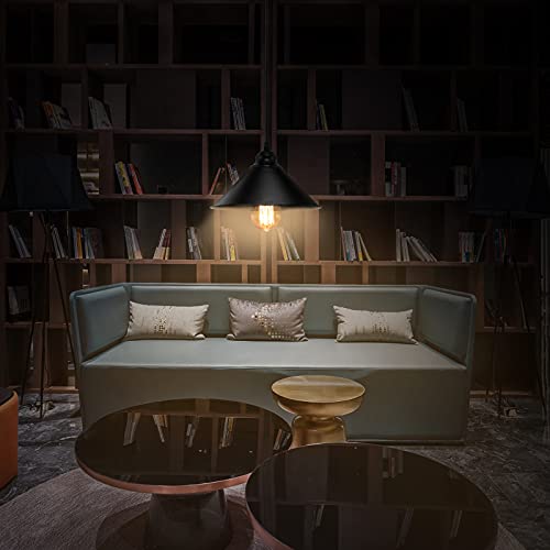 Black Plug in Pendant Light