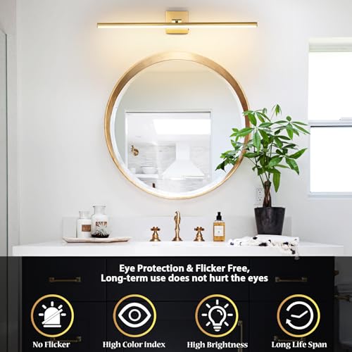 LED Bathroom Vanity Light