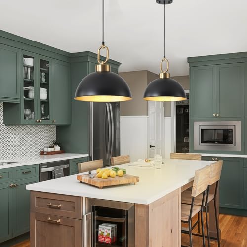 2 Pack Black Hanging Pendant Light Fixture (2 Count)