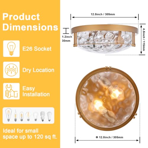 Gold 2 Light Ceiling Light Fixture with Hammered Glass