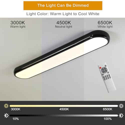 Modern LED Ceiling Light