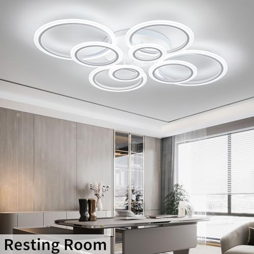 Modern LED Ceiling Light