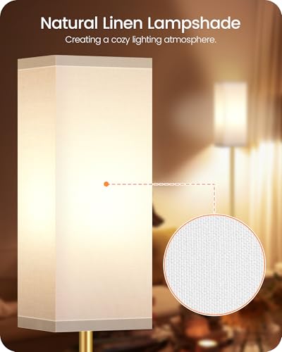 Floor Lamp Pole with Foot Switch