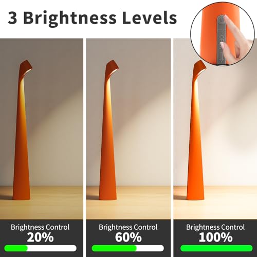 Cordless Rechargeable Reading Metal Table Lamp