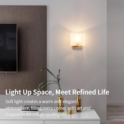 Small Flat Modern Acrylic Indoor Hardwired Gold Wall Sconce Light Set of 2 (2 Count)