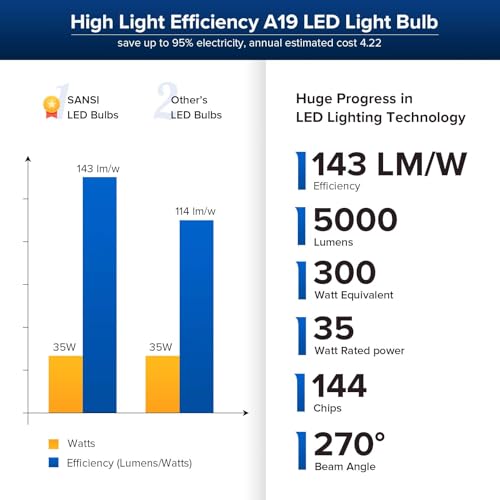300W Equivalent 5000 Lumens LED Light Bulb (2 Count)