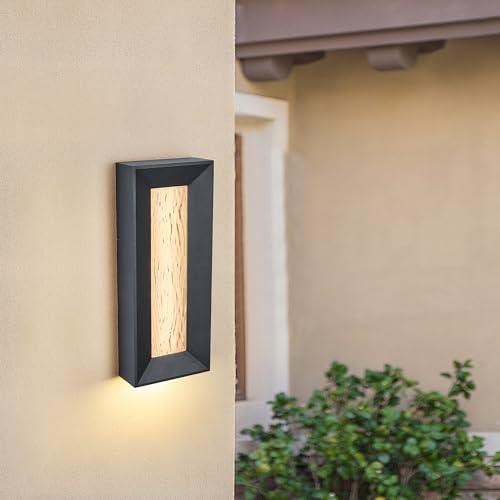 Modern 15in LED Outdoor or Indoor Wall Light with Cast Art Glass