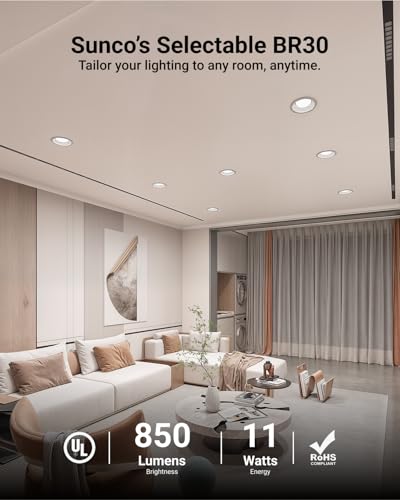 Sunco 12 Pack BR30 LED Bulb Flood Light (12 Count)