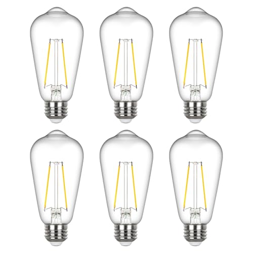 Edison Light Bulbs 60 watt Equivalent (6 Count)