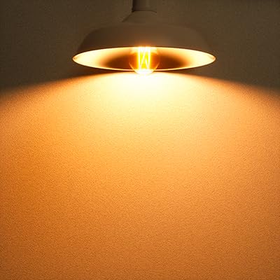 A19 Vintage LED Edison Bulbs