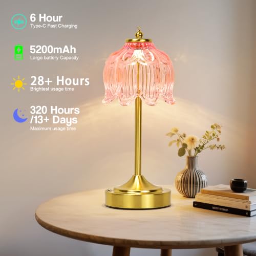 Cordless Table Lamp