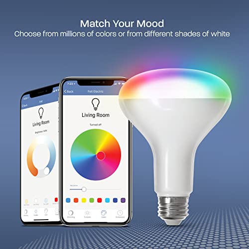 BR30 Smart Flood Light Bulb (6 Count)