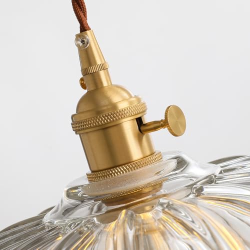 Plug in Pendant Light Hanging Lamp