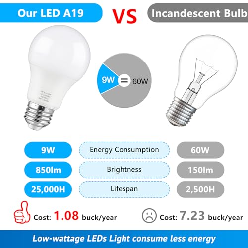 A19 LED Light Bulbs (10 Count)
