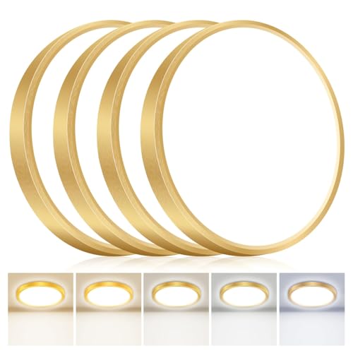 4PACK Flush Mount LED Ceiling Light Fixture (4 Count)