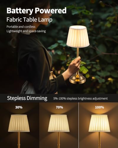 Gold Cordless LED Table Lamps Set of 2 (2 Count)